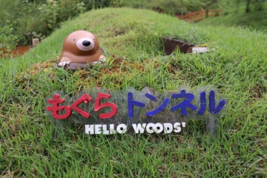 ウリンボ迷路ツインリンク子供たち