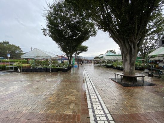 道の駅ろまんちっく村