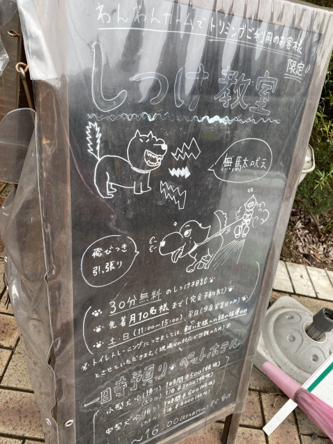 道の駅ろまんちっく村