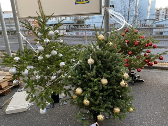IKEAイケアもみの木