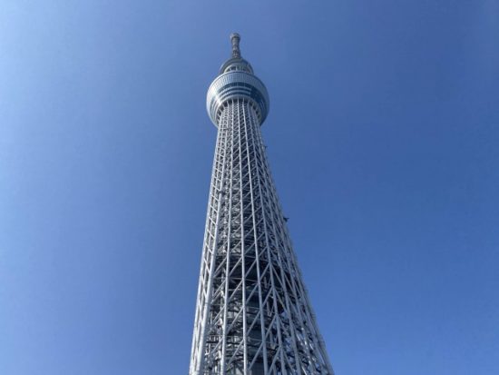 スカイツリーの画像