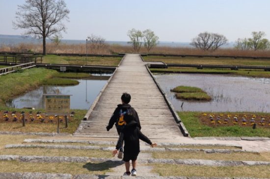 霞ヶ浦総合公園の子供たち