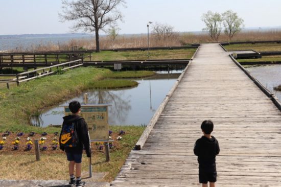 子供たちの画像