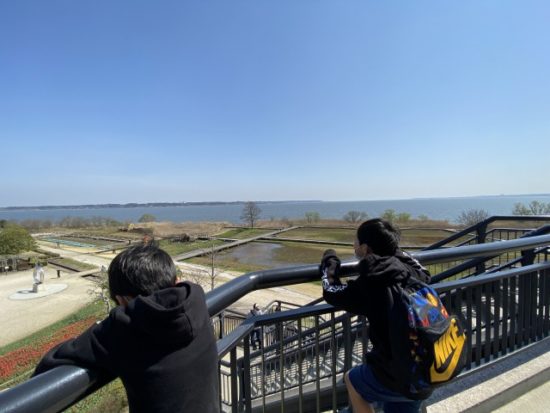 霞ヶ浦総合公園の子供たち