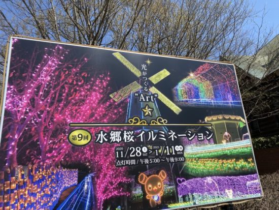 霞ヶ浦総合公園のイルミネーション