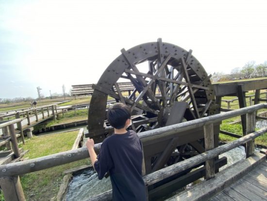 霞ヶ浦総合公園の子供たち