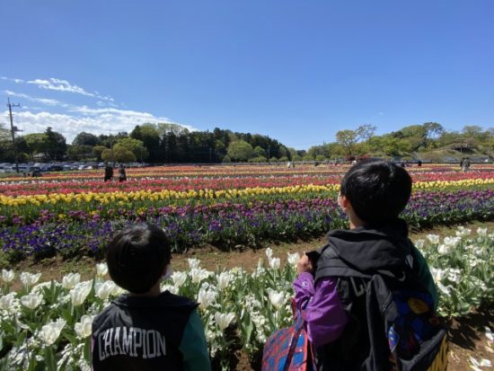 あけぼの山農業公園チューリップ子供たち