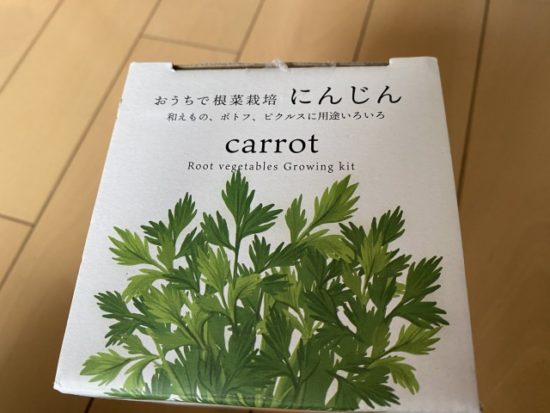 おうちで根菜栽培にんじん