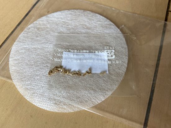 おうちで根菜栽培にんじん