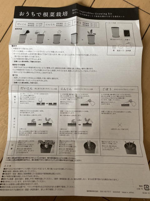 おうちで根菜栽培にんじん