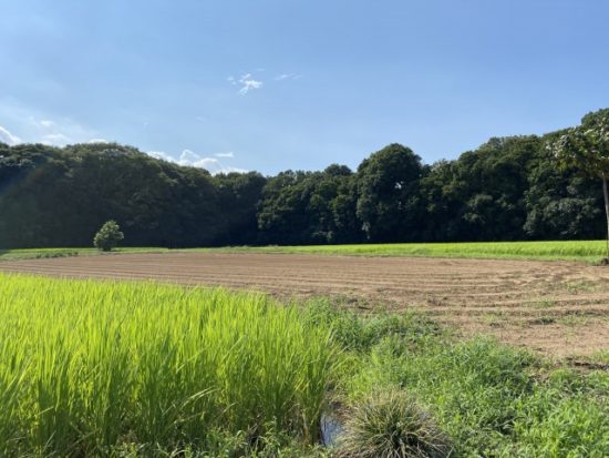 実家田舎の画像