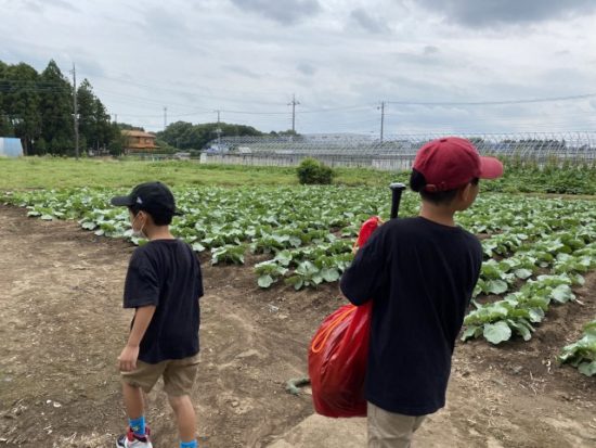 子供たちの画像