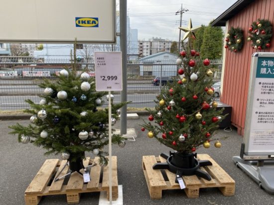 IKEA本物のモミの木