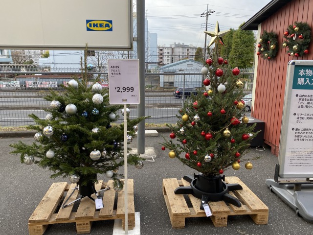 【2021年】IKEAの本物のモミの木購入。やっぱり発売当日（11月18日）は大行列だけど後から行っても大丈夫 | 税理士内田敦のブログ