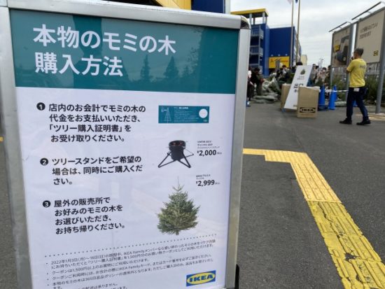 IKEA本物のモミの木