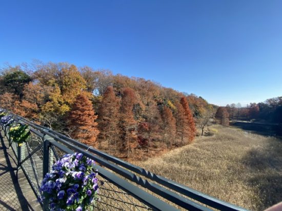 アンデルセン公園