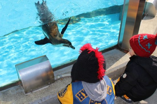 子供たちの画像