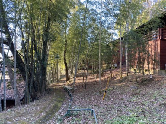 リソルの森ログコテージ