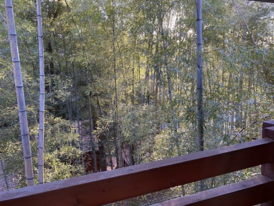 リソルの森ログコテージ