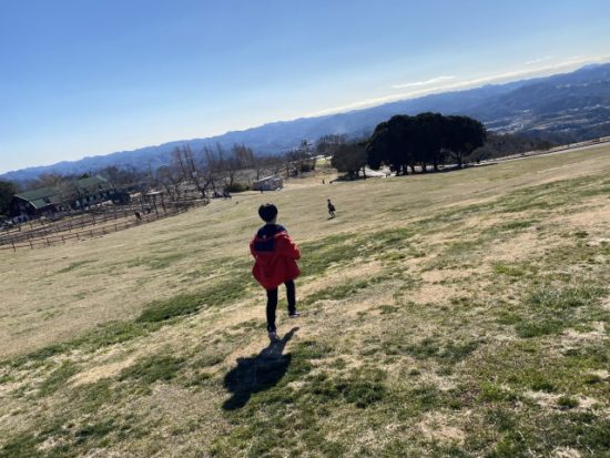 マザー牧場の子供たち