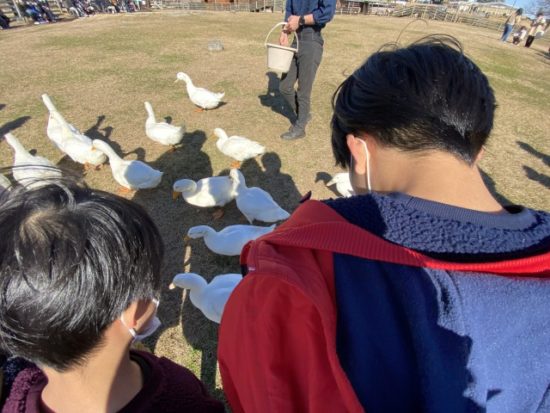 マザー牧場の子供たち