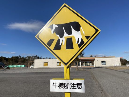 マザー牧場の看板