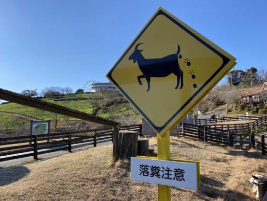 マザー牧場の看板