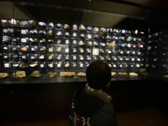 国立科学博物館の子供たち