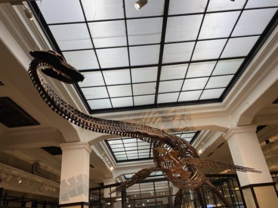 国立科学博物館