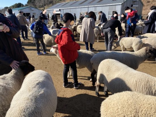 マザー牧場の子供たち