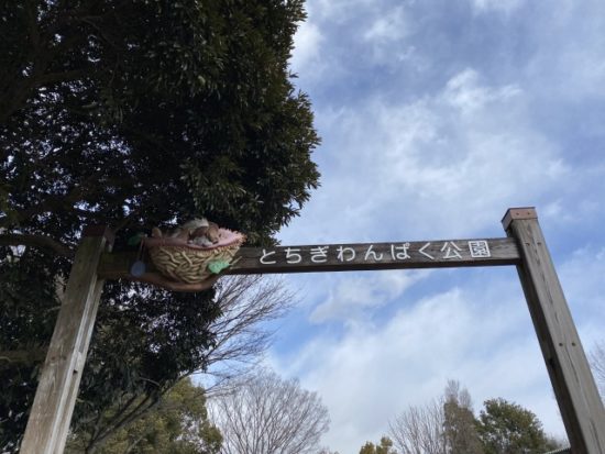 とちぎわんぱく公園