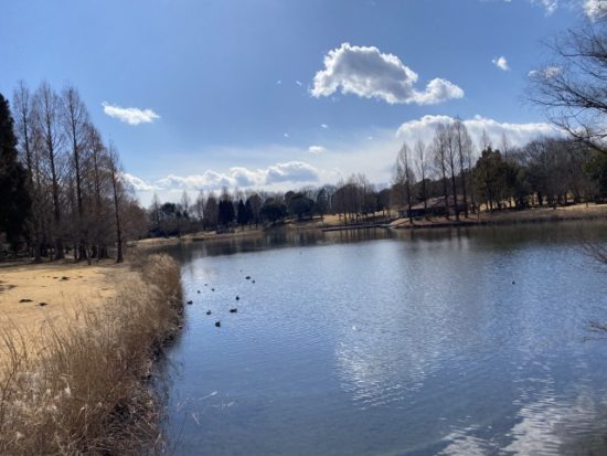 とちぎわんぱく公園