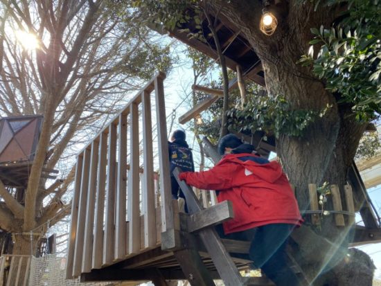 ツリーハウスの子供たち