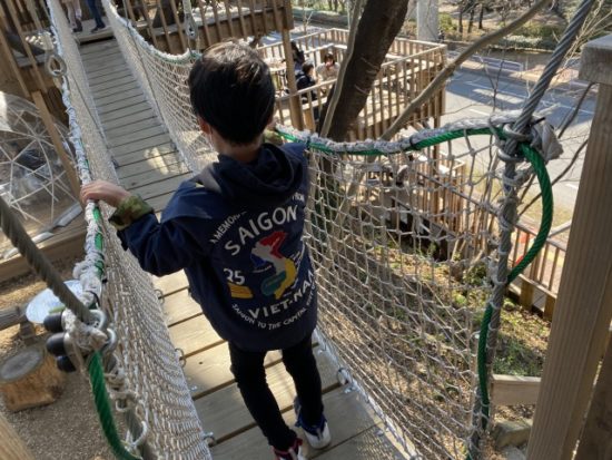 ツリーハウスの子供たち