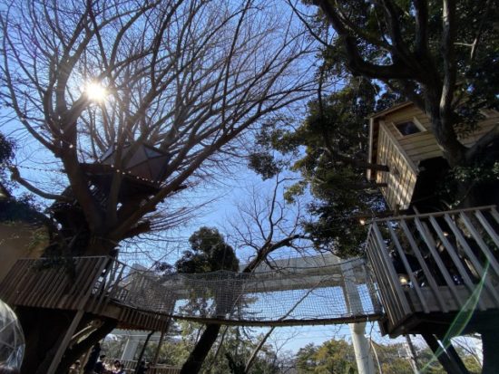 ツリーハウス