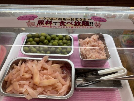 岩下の新生姜ミュージアム