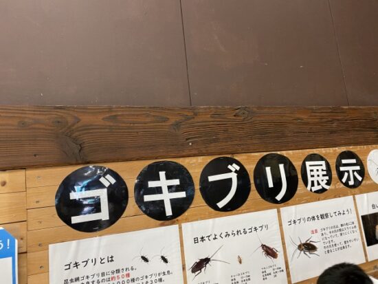 東武動物公園のゴキブリ