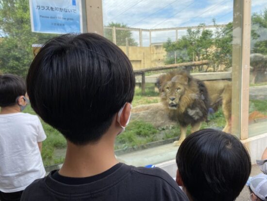 東武動物公園の子供たち