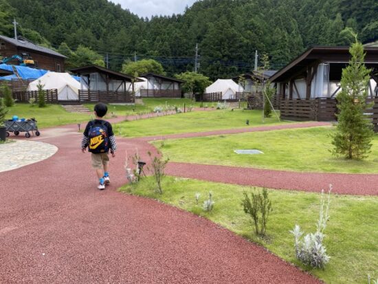 ノーラ名栗の子供