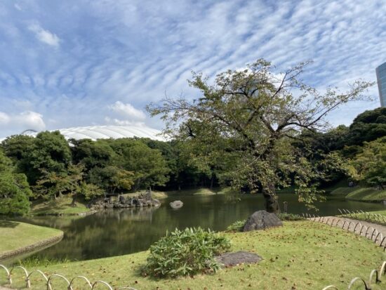 小石川庭園