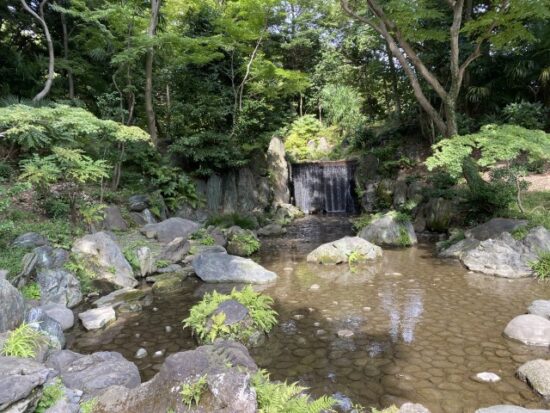 小石川庭園
