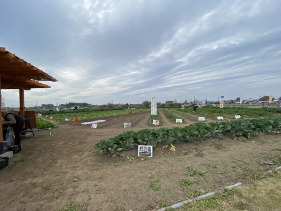 深谷ヤサイな仲間たちファーム