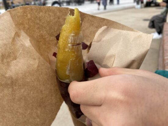 深谷ヤサイな仲間たちファーム