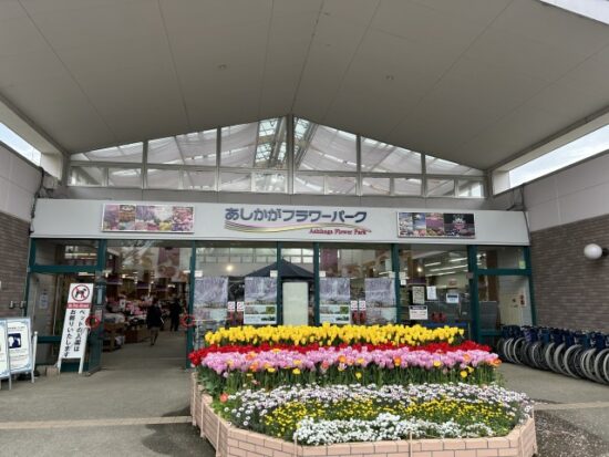 あしかがフラワーパーク