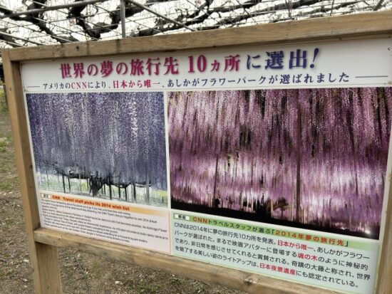 あしかがフラワーパーク