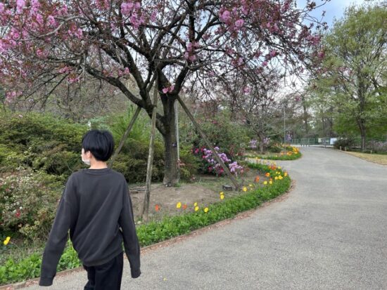 あしかがフラワーパーク