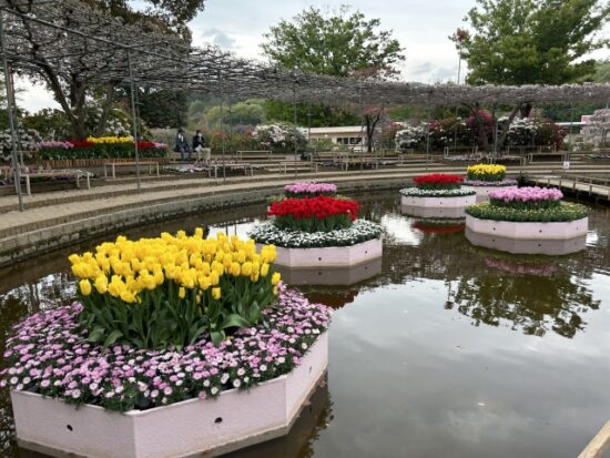 あしかがフラワーパーク