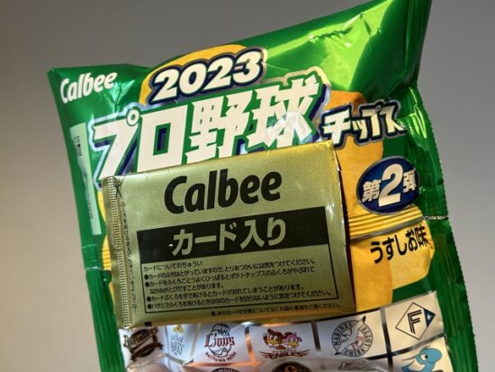 プロ野球チップス