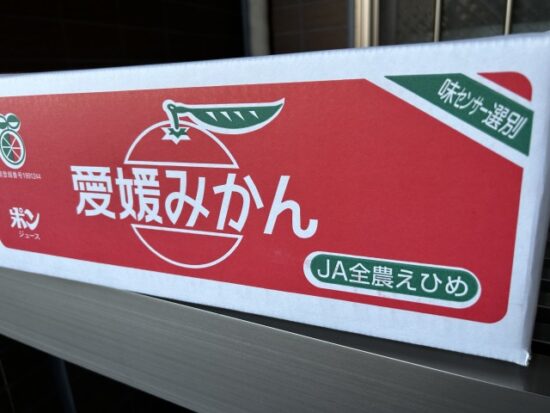 みかんの箱買い