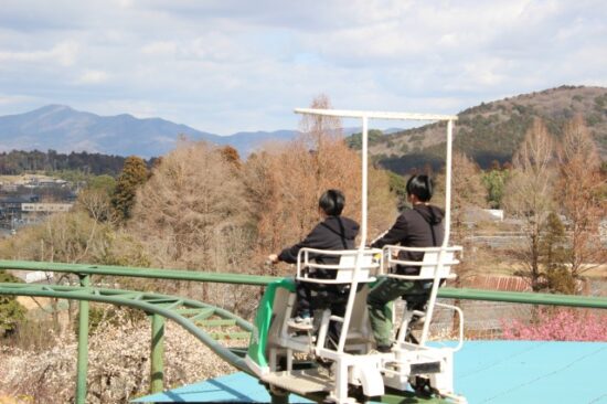 子供たちの画像